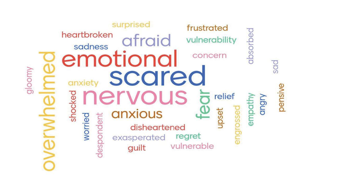 Summary of emotional feelings experienced by Black Canadians when interacting with the justice system