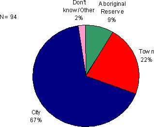 Figure 9.8 - Location where the offence was committed or allegedly committed