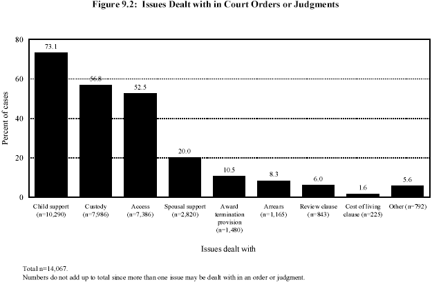 Figure 9.2: Issues Dealt with in Court Orders or Judgements