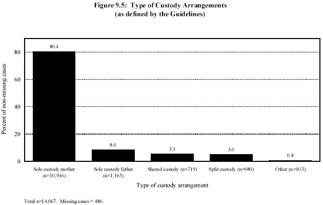 Figure 9.5: Type of Custody Arrangements (as defined by the Guidelines)