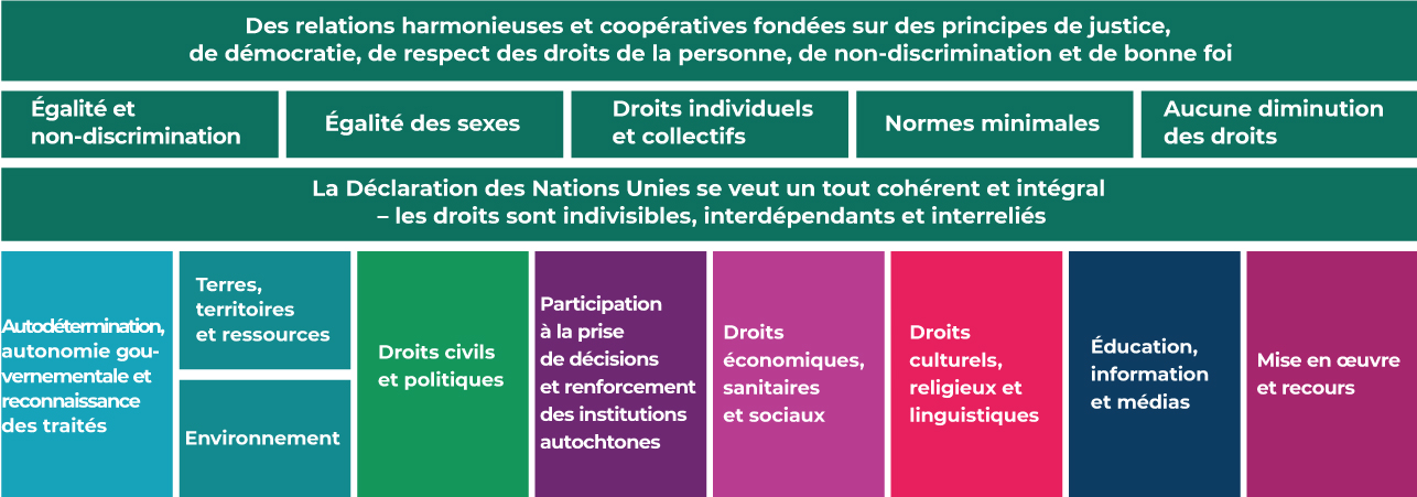 Thèmes de la Déclaration des Nations Unies sur les droits des peuples autochtones