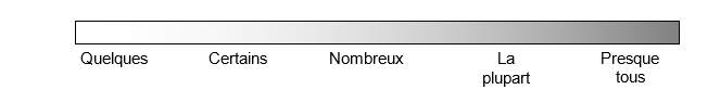 L'échelle descriptive suivante a servi à rendre compte de certains aspects des entrevues avec les informateurs clés
