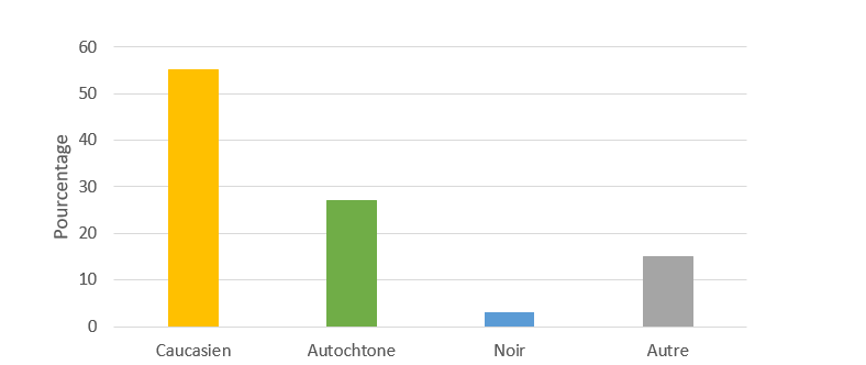 Figure&nbsp;2&nbsp;: Pourcentage de participants au programme de tribunaux de traitement de la toxicomanie par race, 2015-2021
