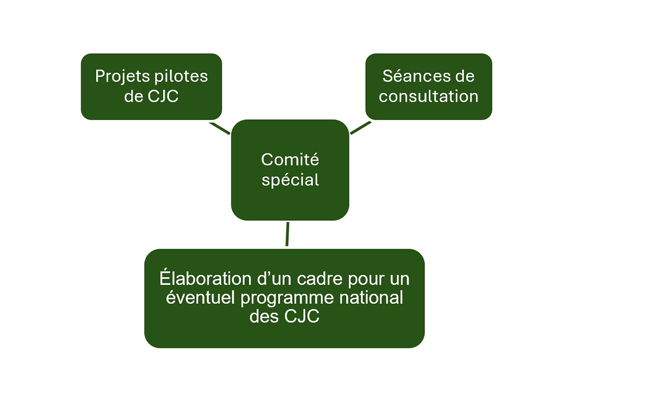 Figure 1 : Aperçu de l’initiative des centres de justice communautaire